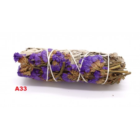 Tocha Purple Sinuata + Salvia 11cm.