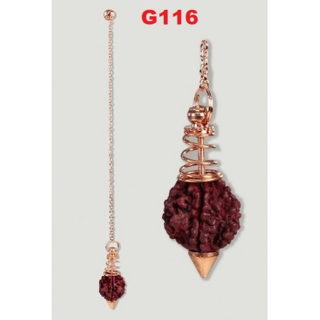SEMILLA SAGRADA RUDRAKSHA