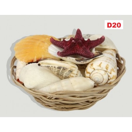 Cesta Conchas Mar 10cm