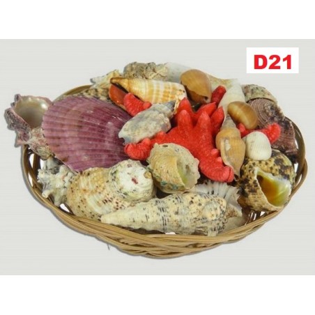 Cesta Conchas Mar 15cm