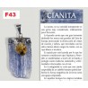 Pend Cianita com Citrino