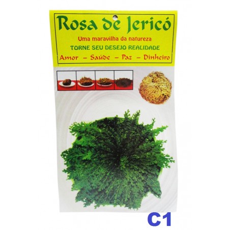 Rosa de Jericó