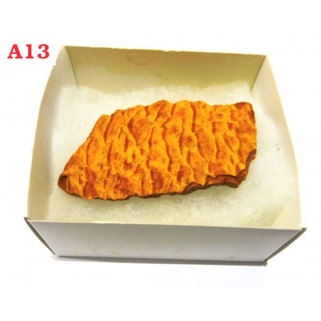 Limonite 6cm ( Espanha ). Unidade.