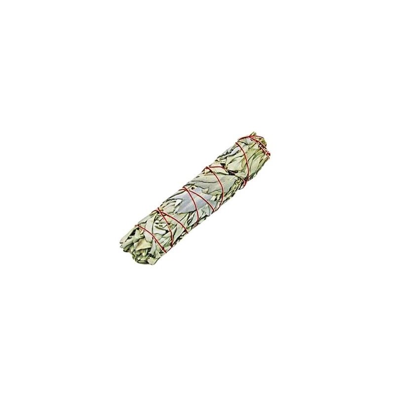 Yerba Santa Tocha 11cm.
