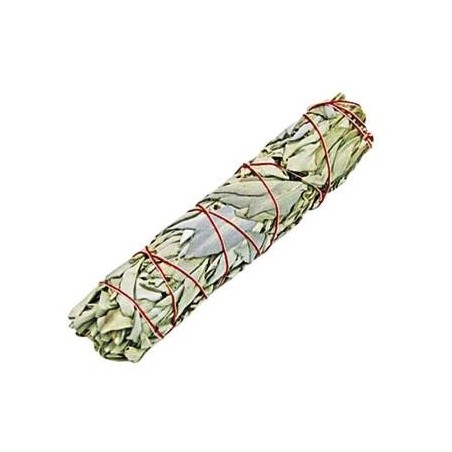 Yerba Santa Tocha 11cm.